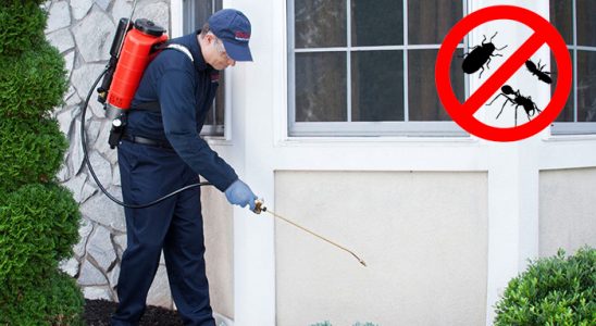 Devrekani Fare İlaçlama böcek ilaçlama ve haşere kontrolü — ilaclama-tr.com